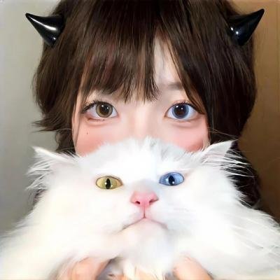 戴帽子的猫