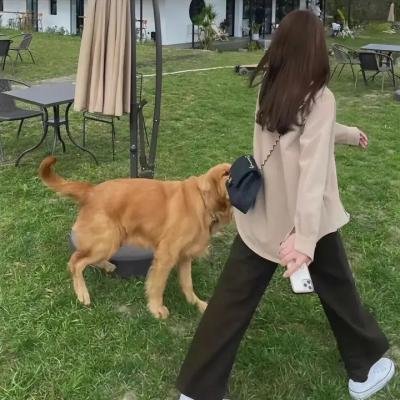 生死赌局